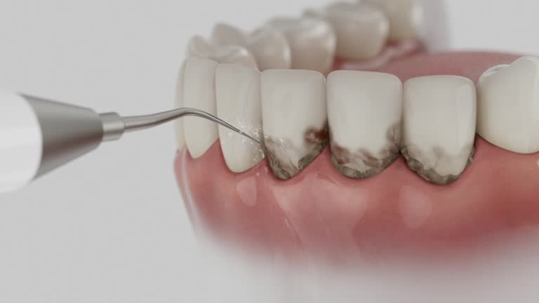 Reliable Dental contractor in East Tawas, MI by Dentist Open Now